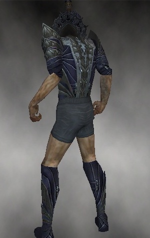 File:Necromancer Krytan armor m gray back chest feet.jpg