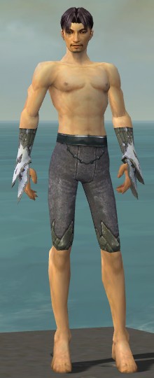 File:Elementalist Iceforged armor m gray front arms legs.jpg