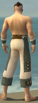 File:Monk Elite Saintly armor m gray back arms legs.png