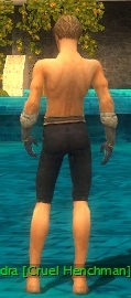 Elementalist Norn armor m gray back arms legs.jpg