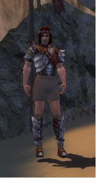 File:Ranger Elite Drakescale armor m white front chest feet.jpg