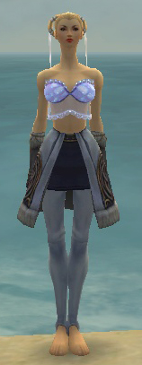 File:Elementalist Norn armor f gray front arms legs.jpg