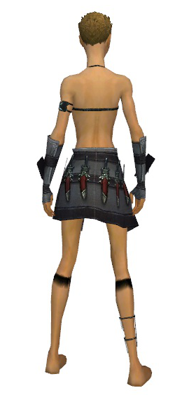 File:Assassin Elite Canthan armor f gray back arms legs.png