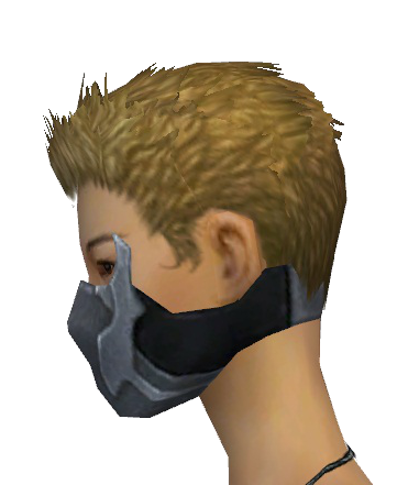 File:Assassin Canthan Mask f gray left.png
