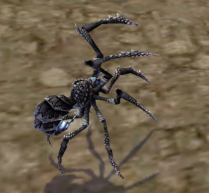 File:Miniature Cave Spider.jpg
