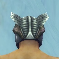 File:Warrior Templar armor m gray back head.jpg