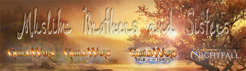 Guild Muslim Brothers And Sisters banner.jpg