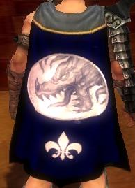 File:Guild The Brave Brothers cape.jpg