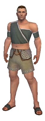 Monk Ascalon armor m gray front chest feet.jpg