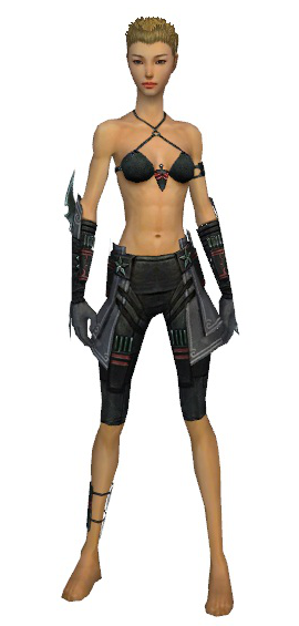 File:Assassin Luxon armor f gray front arms legs.png
