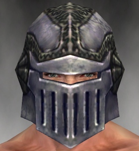 File:Warrior Platemail armor m gray front head.jpg