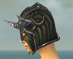 File:Warrior Wyvern armor f gray left head.jpg