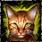 File:Orange Tabby Cat.jpg