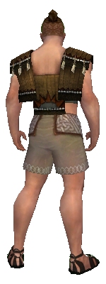 File:Monk Sunspear armor m gray back chest feet.jpg