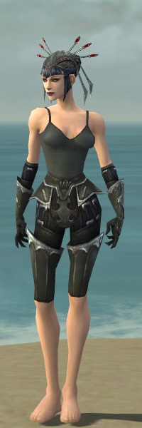 File:Necromancer Tyrian armor f gray front arms legs.jpg