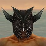 Warrior Elite Dragon armor m gray front head.jpg