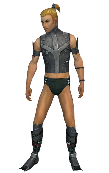 File:Assassin Canthan armor m gray front chest feet.png