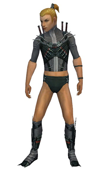 File:Assassin Elite Canthan armor m gray front chest feet.png