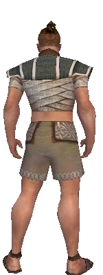File:Monk Woven armor m gray back chest feet.jpg