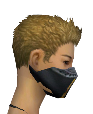File:Assassin Exotic Mask f gray right.png