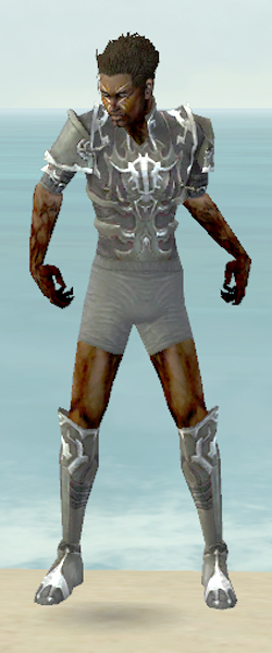File:Necromancer Tyrian armor m gray front chest feet.jpg