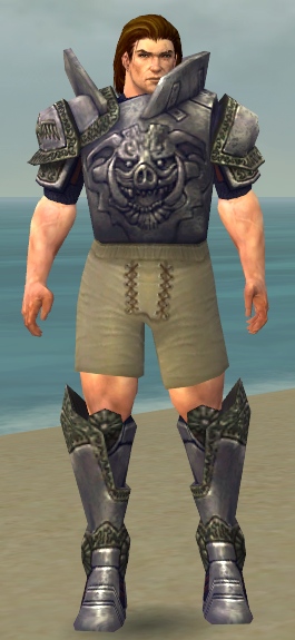 File:Warrior Platemail armor m gray front chest feet.jpg