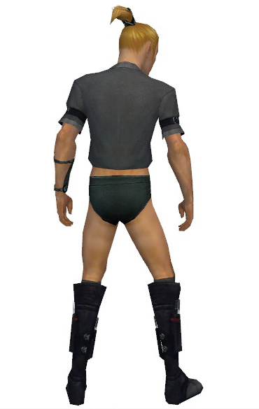 File:Assassin Shing Jea armor m gray back chest feet.png