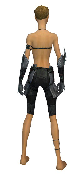 File:Assassin Luxon armor f gray back arms legs.png