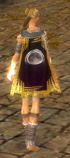 File:Guild Moms Id Like To Follow cape.png