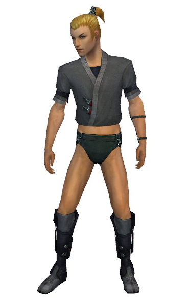 File:Assassin Shing Jea armor m gray front chest feet.png