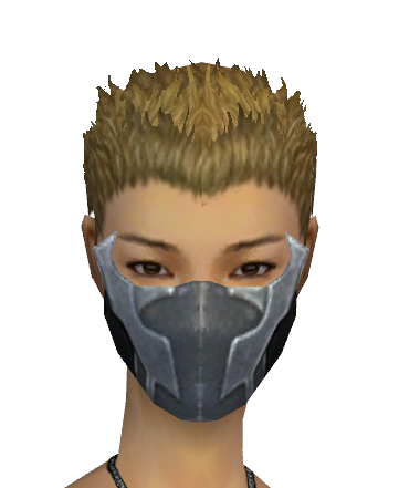 File:Assassin Canthan Mask f gray front.png