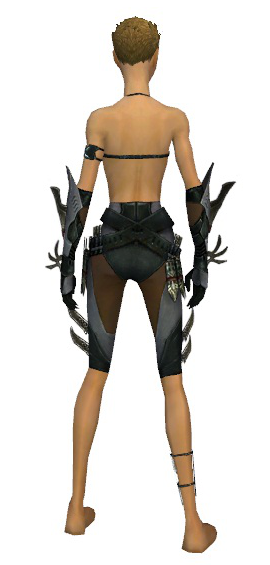 File:Assassin Elite Imperial armor f gray back arms legs.png