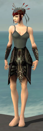 File:Necromancer Istani armor f gray front arms legs.jpg