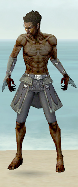 File:Necromancer Cabal armor m gray front arms legs.jpg