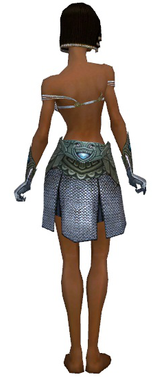 File:Paragon Monument armor f gray back arms legs.png