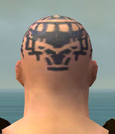 File:Monk Elite Sunspear armor m gray back head.jpg