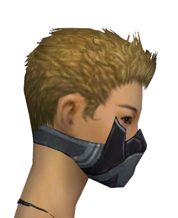 File:Assassin Elite Canthan Mask f gray right.png