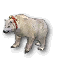 The Miniature Polar Bear is a gold miniature from the Wintersday Chest that spawns during either The Strength of Snow or Straight to the Heart, and also from the Wintersday Grab Bag.