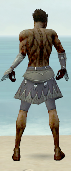 File:Necromancer Cabal armor m gray back arms legs.jpg