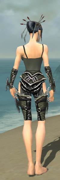 File:Necromancer Elite Profane armor f gray back arms legs.jpg
