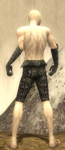 File:Necromancer Ascalon armor m gray back arms legs.jpg