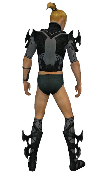 File:Assassin Kurzick armor m gray back chest feet.png