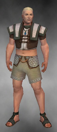 File:Monk Elite Woven armor m gray front chest feet.jpg