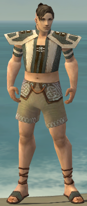 File:Monk Elite Saintly armor m gray front chest feet.png