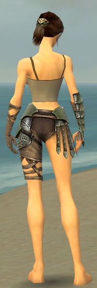 File:Warrior Elite Gladiator armor f gray back arms legs.jpg