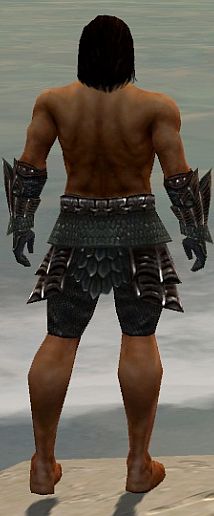 File:Warrior Elite Dragon armor m gray back arms legs.jpg