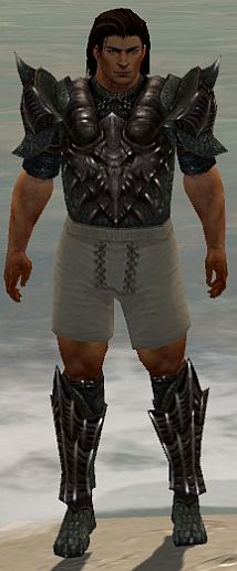File:Warrior Elite Dragon armor m gray front chest feet.jpg