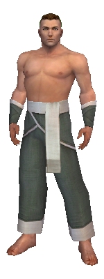 File:Monk Ascalon armor m gray front arms legs.jpg
