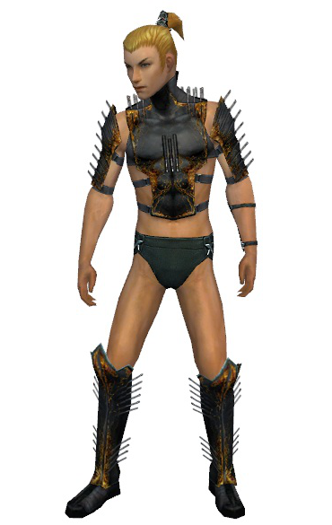 File:Assassin Exotic armor m gray front chest feet.png