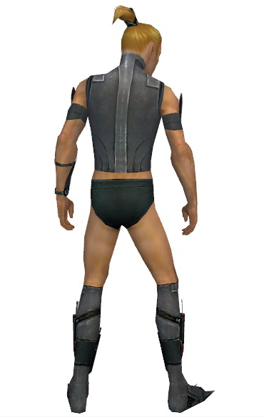 File:Assassin Canthan armor m gray back chest feet.png